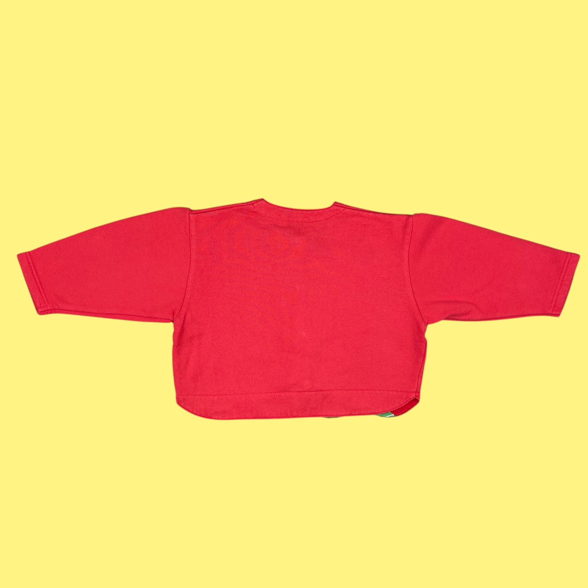 Gilet hérisson 🥬 vintage 18 mois