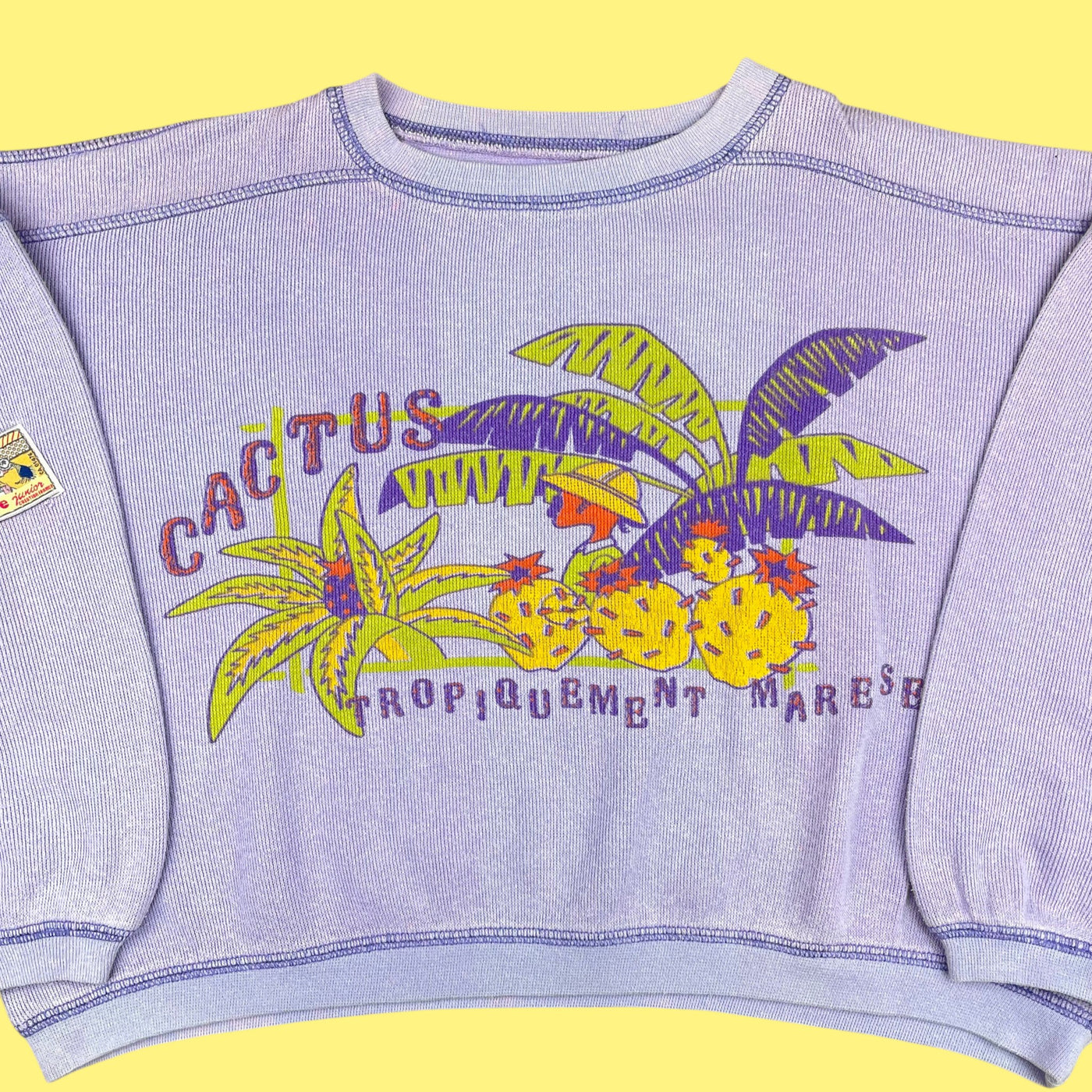 Sweat vintage 80's 10-12 ans