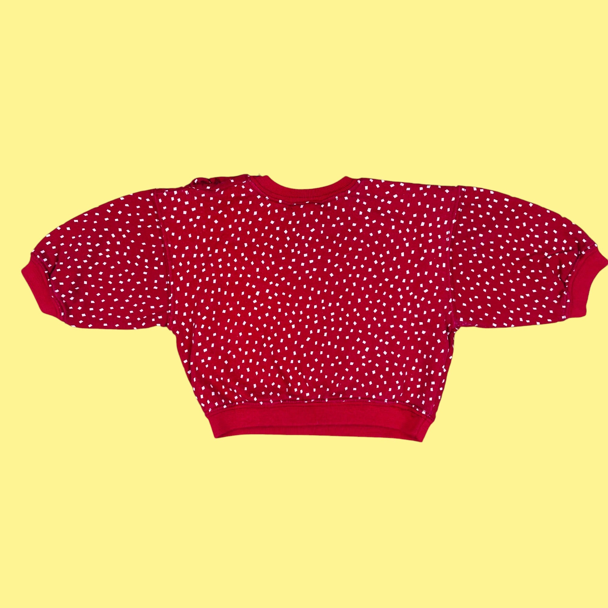 Sweat papillons vintage 6 mois