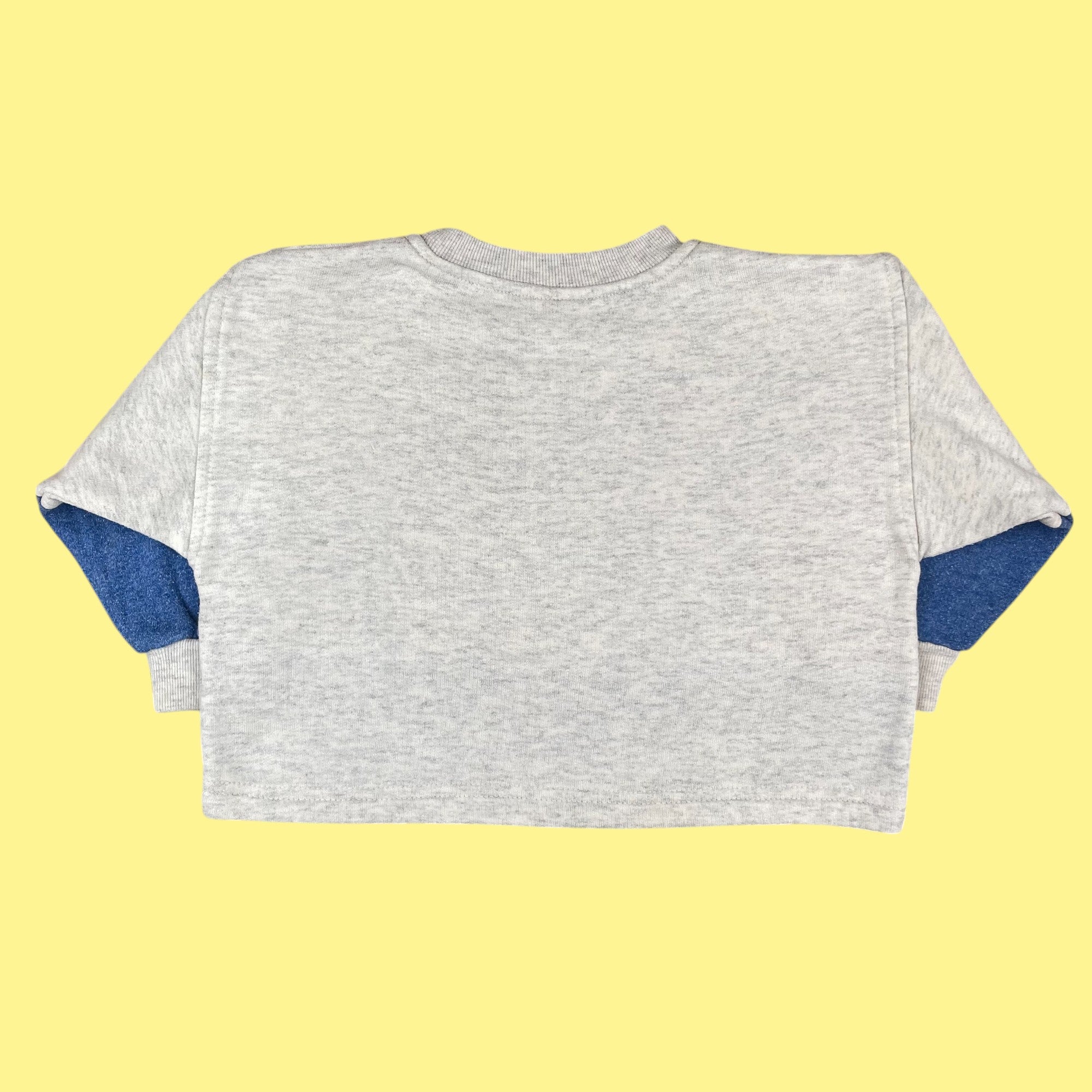 Sweat bicolore 2-3 ans